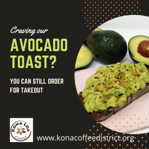 instagram ad - avocado toast